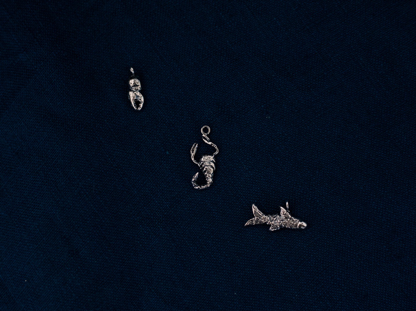 zodiac emblem charms
