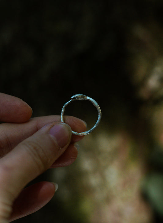 ouroboros ring