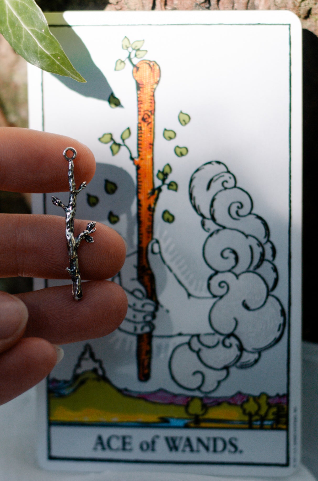 suit of wands