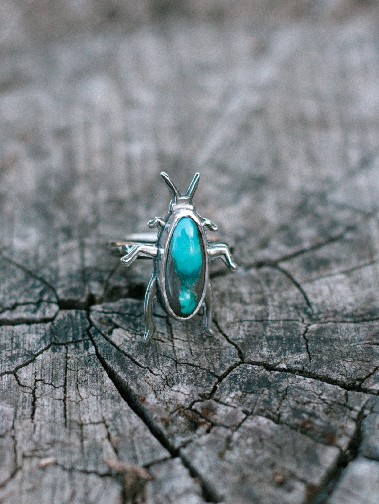 turquoise cricket - ring