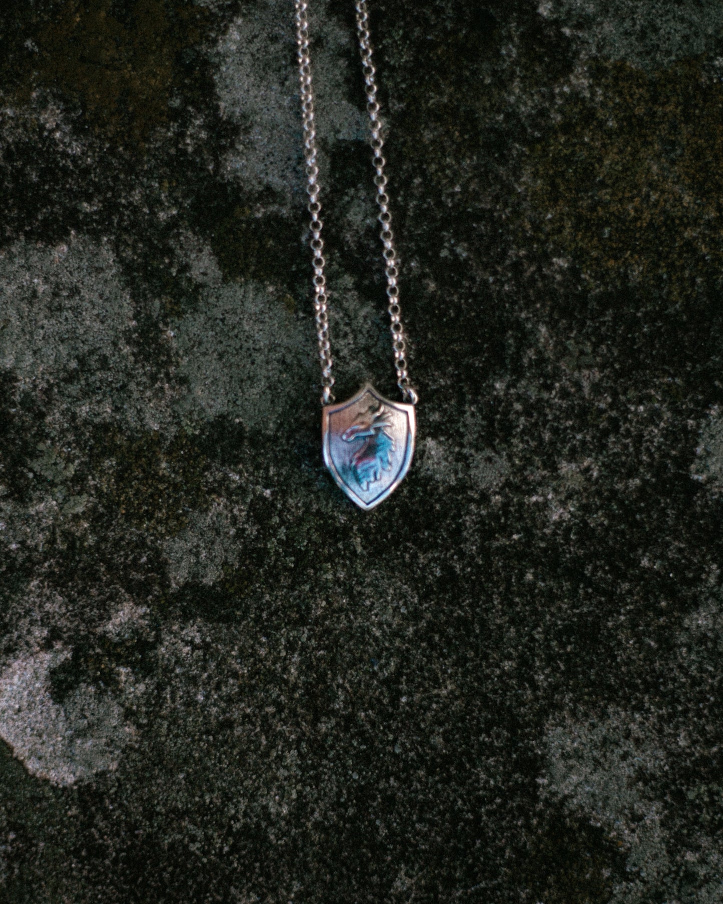draconic shield