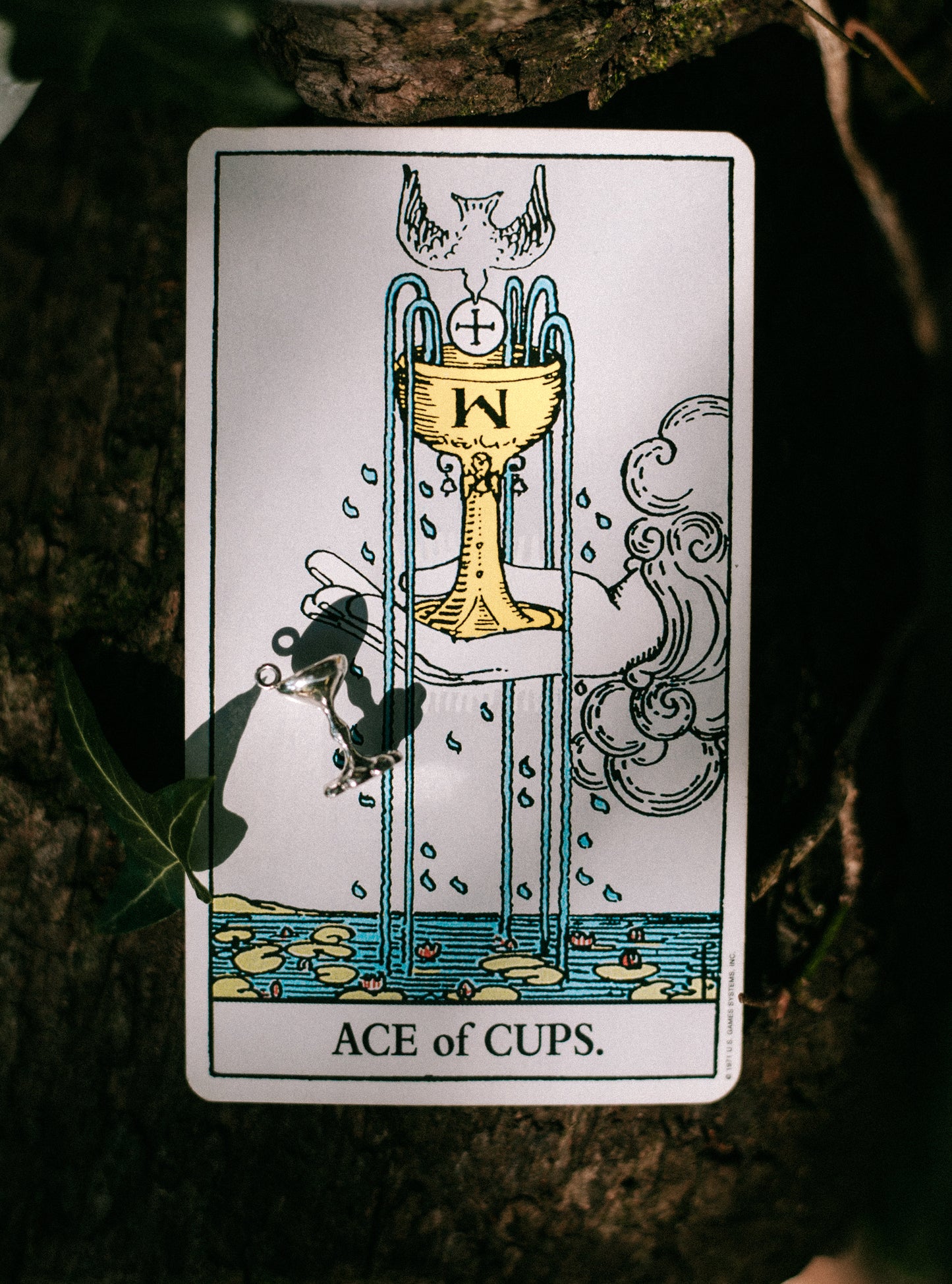 suit of cups