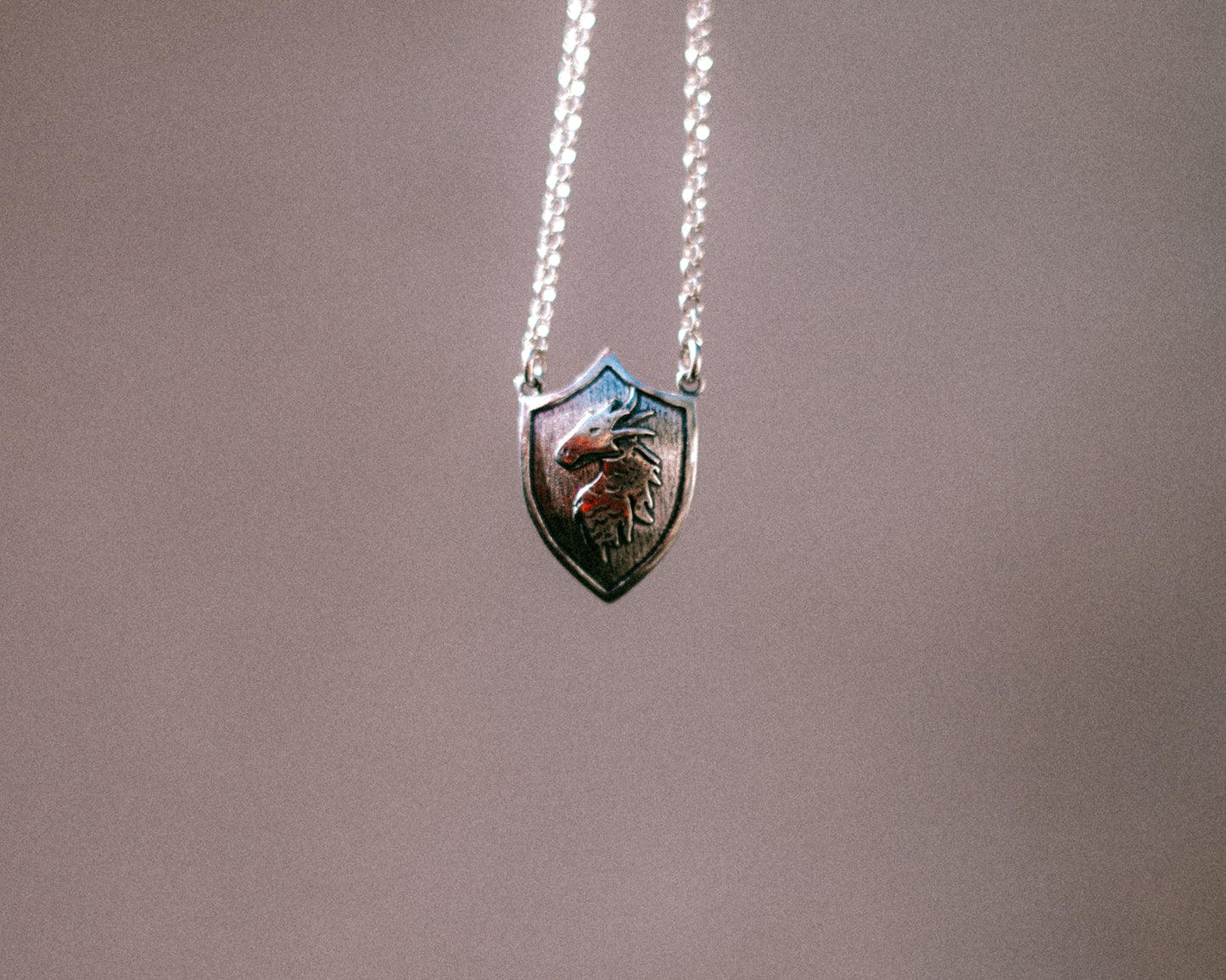 draconic shield