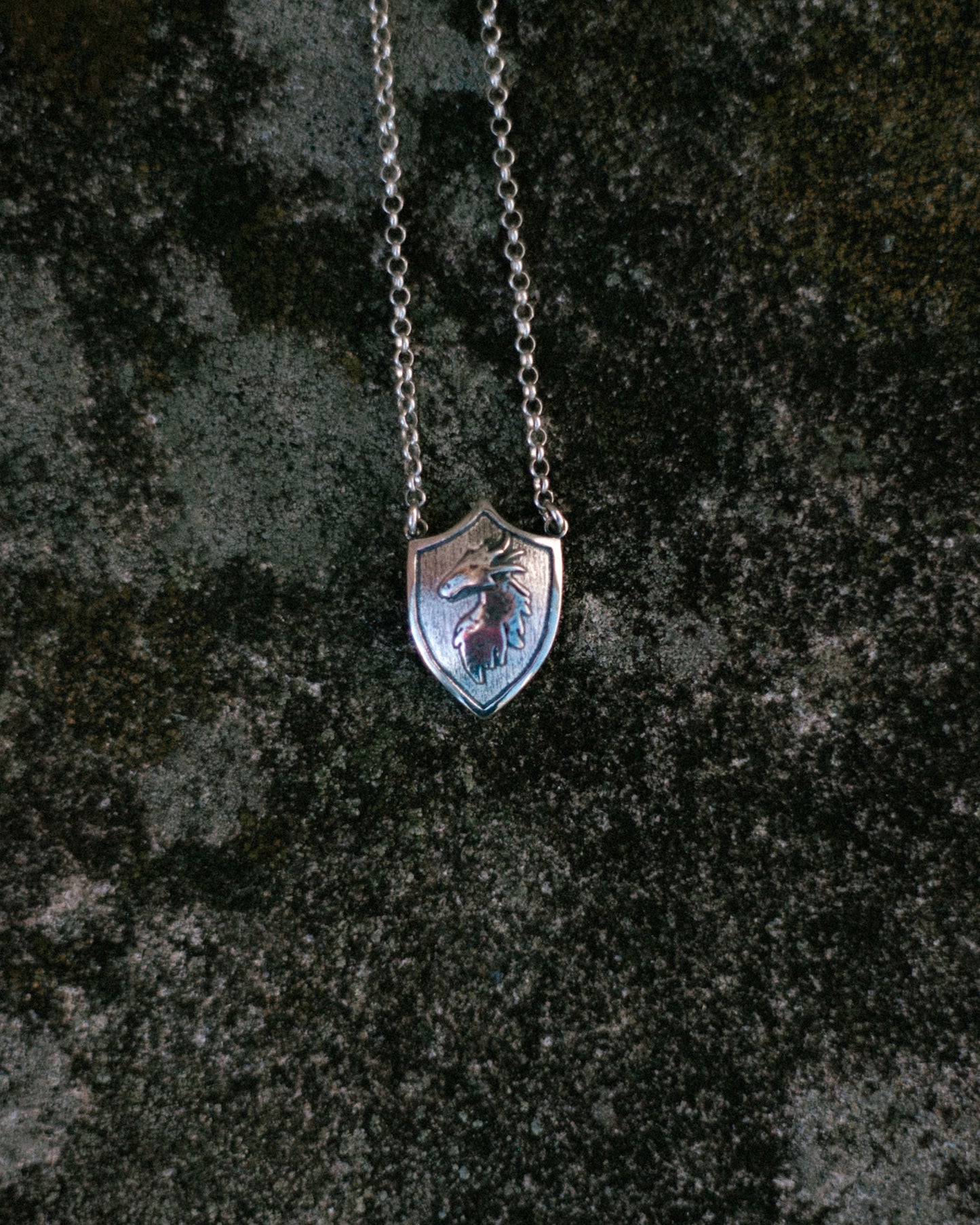 draconic shield