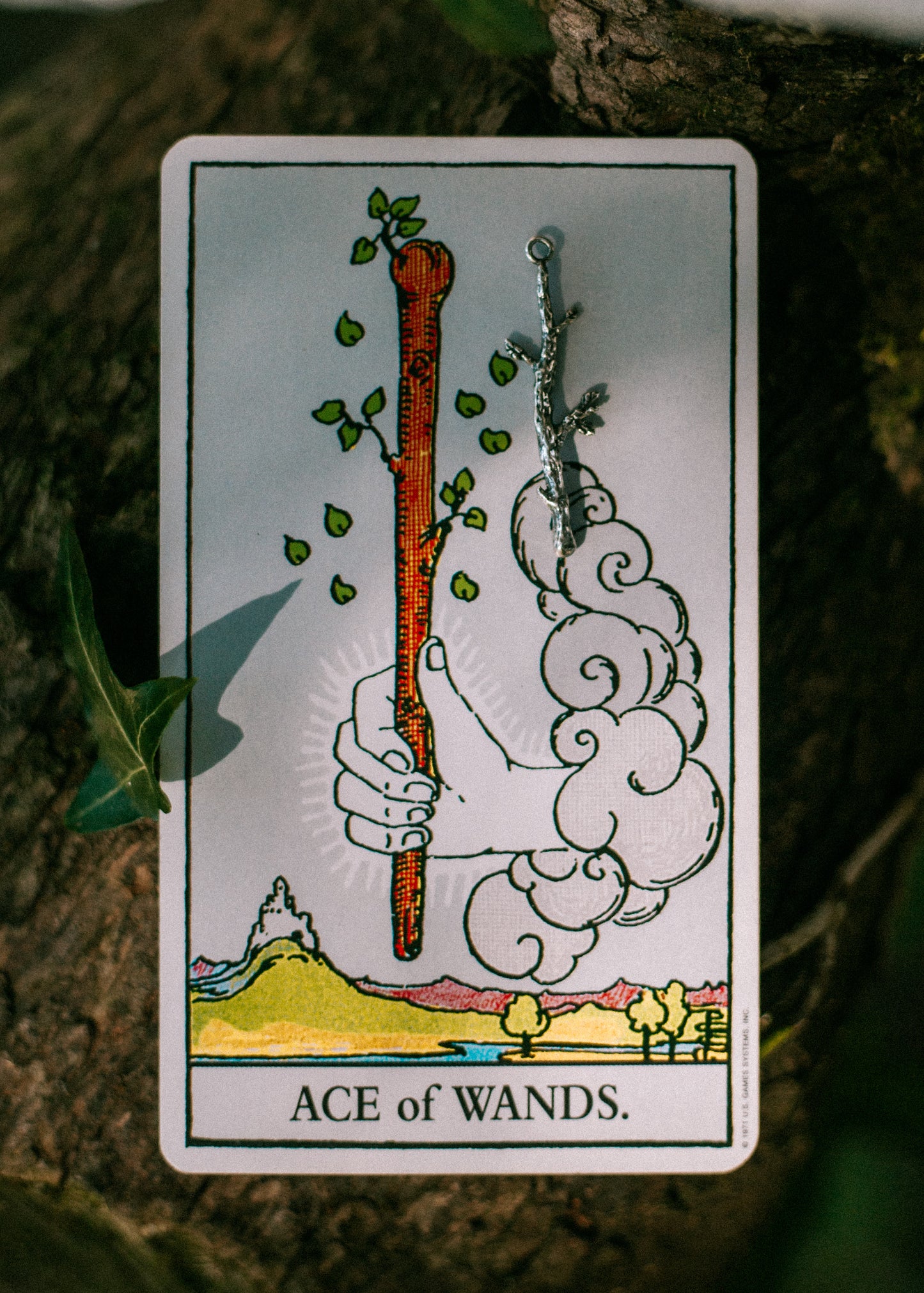 suit of wands